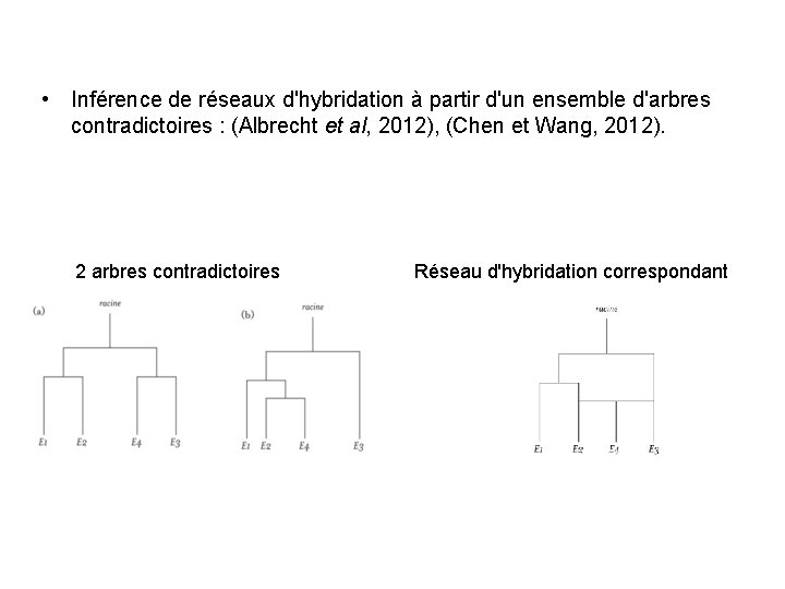  • Inférence de réseaux d'hybridation à partir d'un ensemble d'arbres contradictoires : (Albrecht