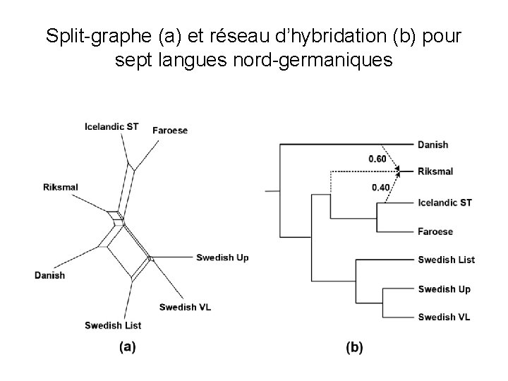 Split-graphe (a) et réseau d’hybridation (b) pour sept langues nord-germaniques 