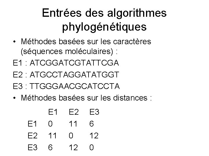 Entrées des algorithmes phylogénétiques • Méthodes basées sur les caractères (séquences moléculaires) : E