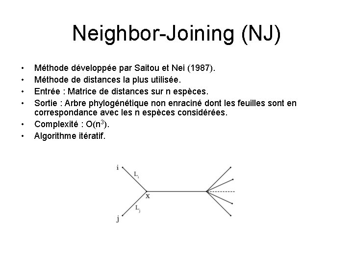 Neighbor-Joining (NJ) • • • Méthode développée par Saitou et Nei (1987). Méthode de