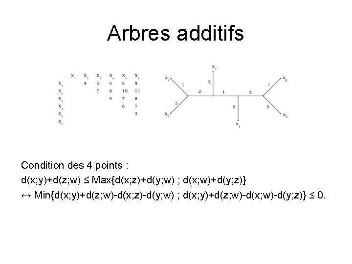 Arbres additifs Condition des 4 points : d(x; y)+d(z; w) ≤ Max{d(x; z)+d(y; w)