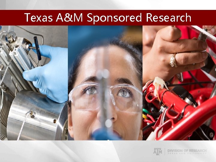 Texas A&M Sponsored Research Services 
