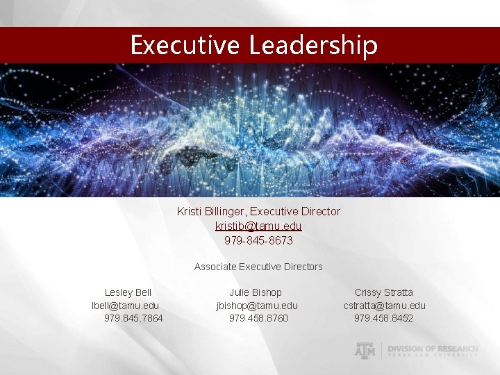 Executive Leadership Kristi Billinger, Executive Director kristib@tamu. edu 979 -845 -8673 Associate Executive Directors