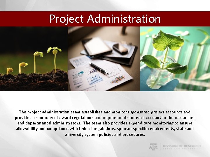 Project Administration The project administration team establishes and monitors sponsored project accounts and provides