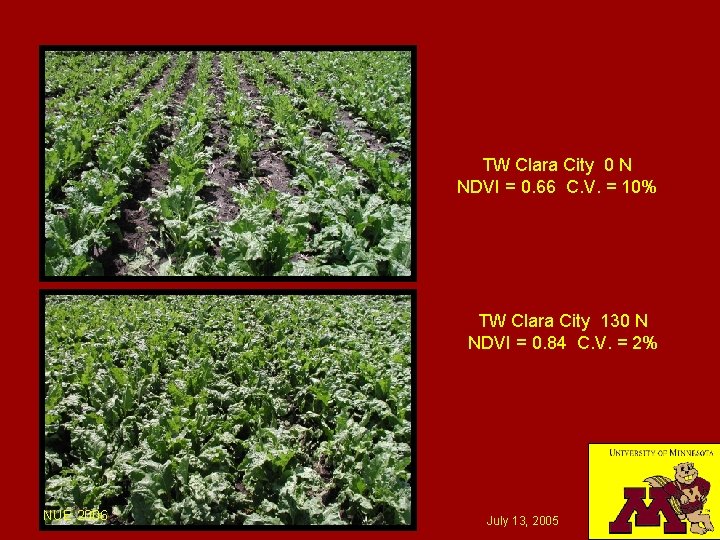 TW Clara City 0 N NDVI = 0. 66 C. V. = 10% TW