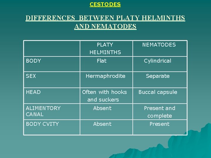 CESTODES DIFFERENCES BETWEEN PLATY HELMINTHS AND NEMATODES PLATY HELMINTHS BODY SEX HEAD Flat NEMATODES