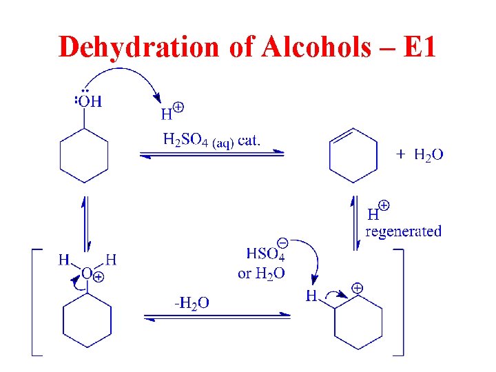 Dehydration of Alcohols – E 1 