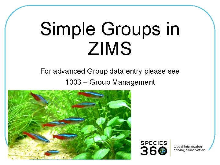 Simple Groups in ZIMS For advanced Group data entry please see 1003 – Group