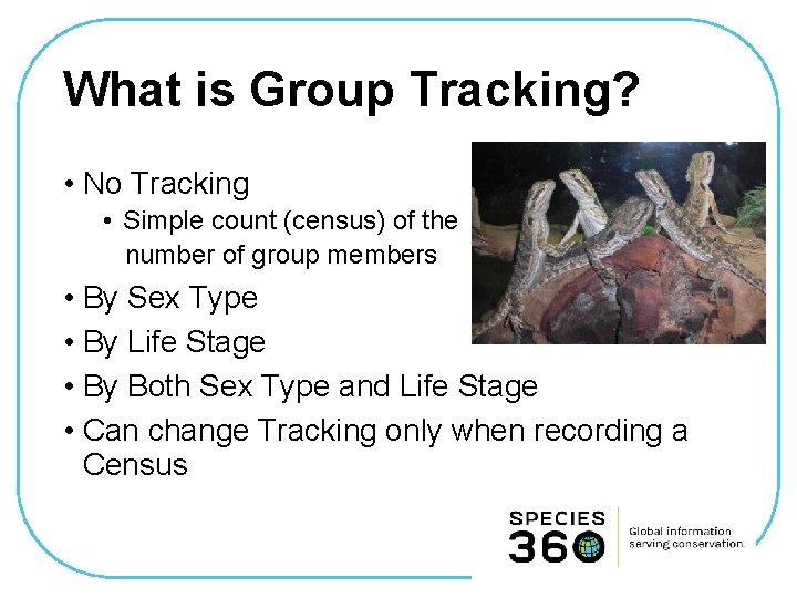 What is Group Tracking? • No Tracking • Simple count (census) of the number