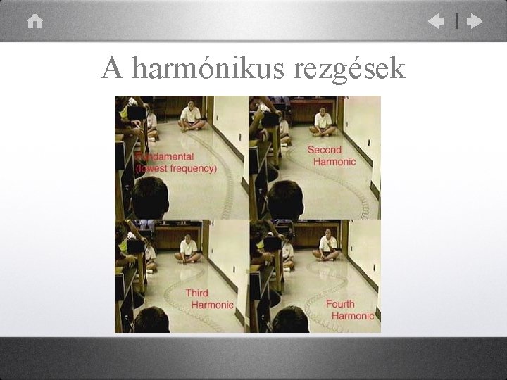 A harmónikus rezgések 