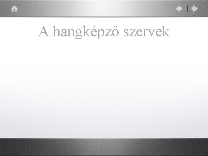 A hangképző szervek 