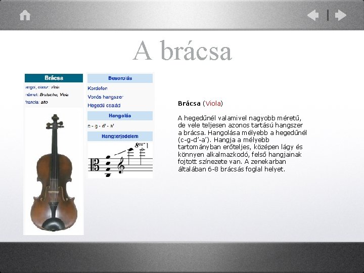 A brácsa Brácsa (Viola) A hegedűnél valamivel nagyobb méretű, de vele teljesen azonos tartású