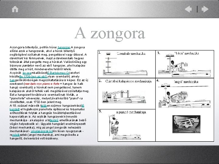 A zongora billentyűs, polifón húros hangszer. A zongora elődei azok a hangszerek, ahol a