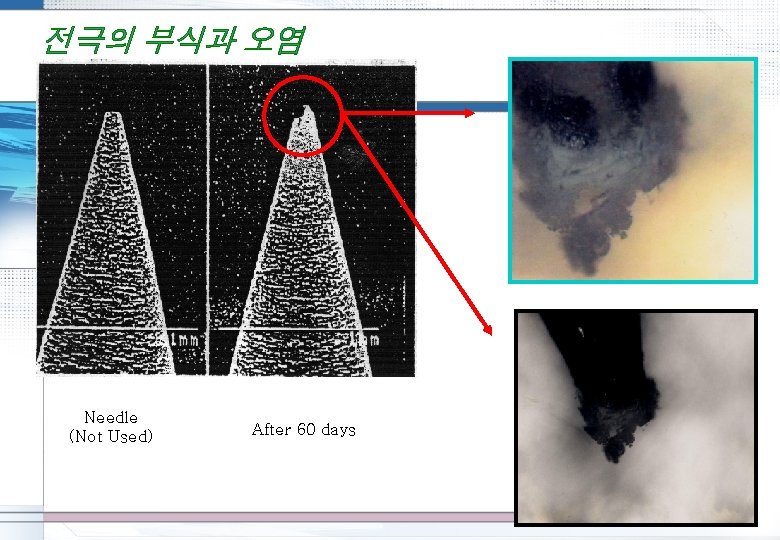 Needle (Not Used) After 60 days 