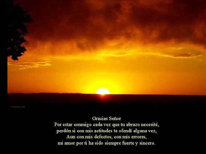 Gracias Señor Por estar conmigo cada vez que tu abrazo necesité, perdón si con