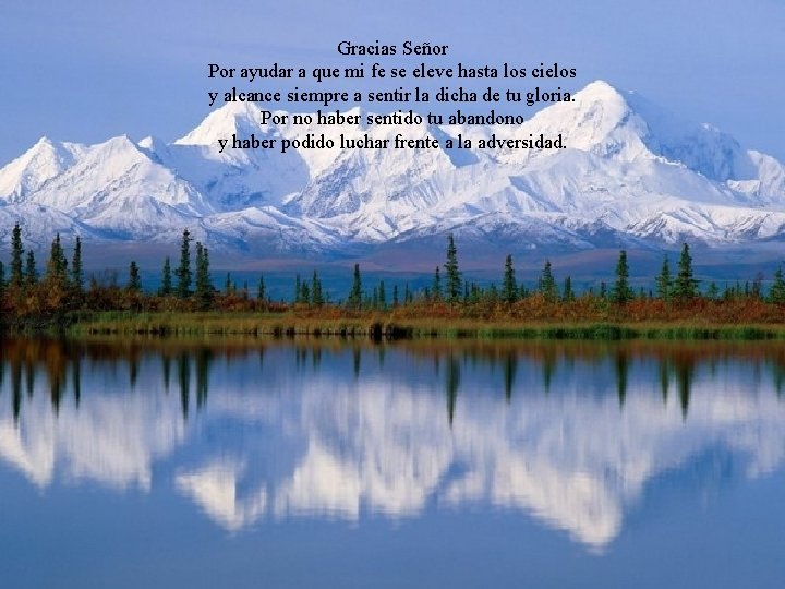 Gracias Señor Por ayudar a que mi fe se eleve hasta los cielos y