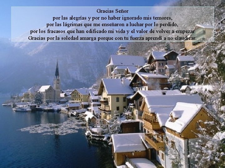 Gracias Señor por las alegrías y por no haber ignorado mis temores, por las