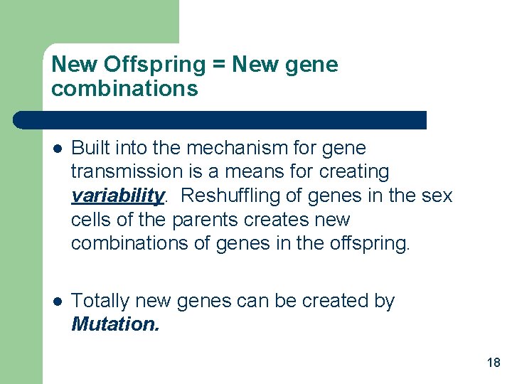 New Offspring = New gene combinations l Built into the mechanism for gene transmission
