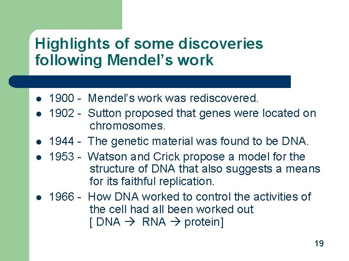 Highlights of some discoveries following Mendel’s work l l l 1900 - Mendel’s work