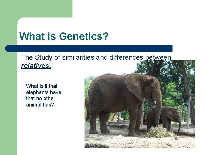 What is Genetics? The Study of similarities and differences between relatives. What is it