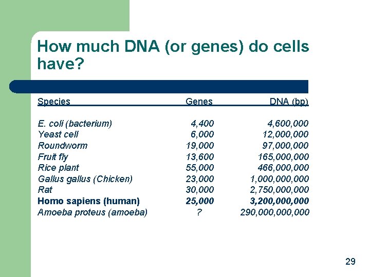 How much DNA (or genes) do cells have? Species Genes DNA (bp) E. coli