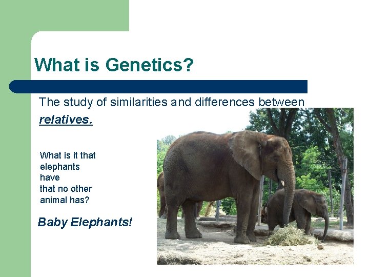 What is Genetics? The study of similarities and differences between relatives. What is it