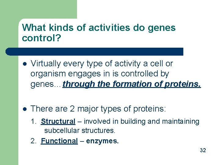 What kinds of activities do genes control? l Virtually every type of activity a