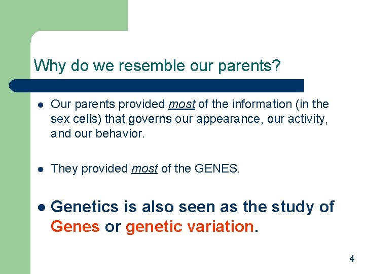 Why do we resemble our parents? l Our parents provided most of the information