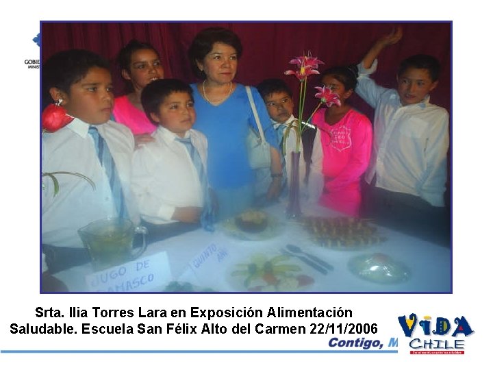 Srta. Ilia Torres Lara en Exposición Alimentación Saludable. Escuela San Félix Alto del Carmen