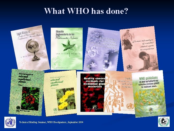 What WHO has done? Technical Briefing Seminar, WHO Headquarters, September 2004 