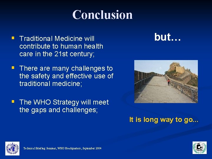 Conclusion § Traditional Medicine will contribute to human health care in the 21 st
