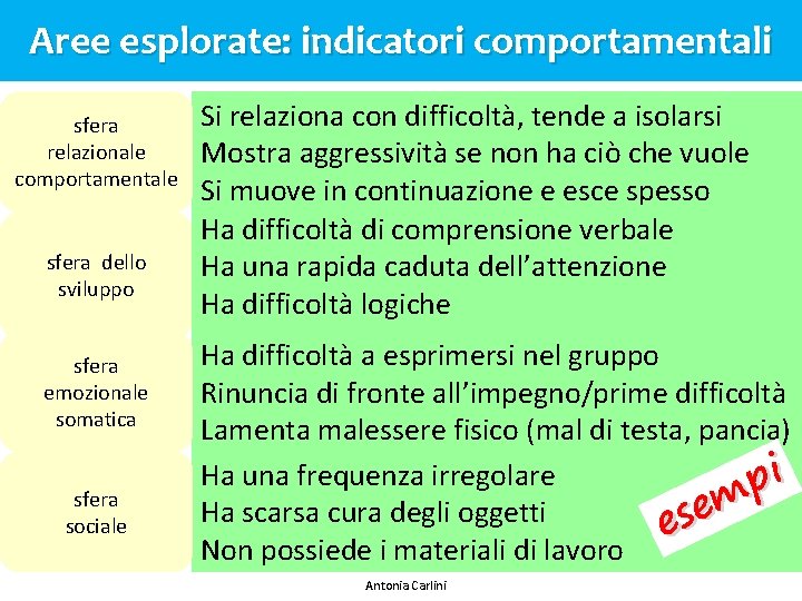 Aree esplorate: indicatori comportamentali sfera relazionale comportamentale sfera dello sviluppo sfera emozionale somatica sfera