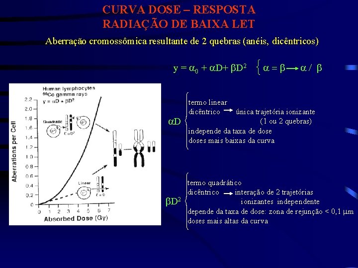 CURVA DOSE – RESPOSTA RADIAÇÃO DE BAIXA LET Aberração cromossômica resultante de 2 quebras