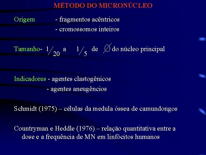 MÉTODO DO MICRONÚCLEO Origem Tamanho- 1 - fragmentos acêntricos - cromossomos inteiros 20 a