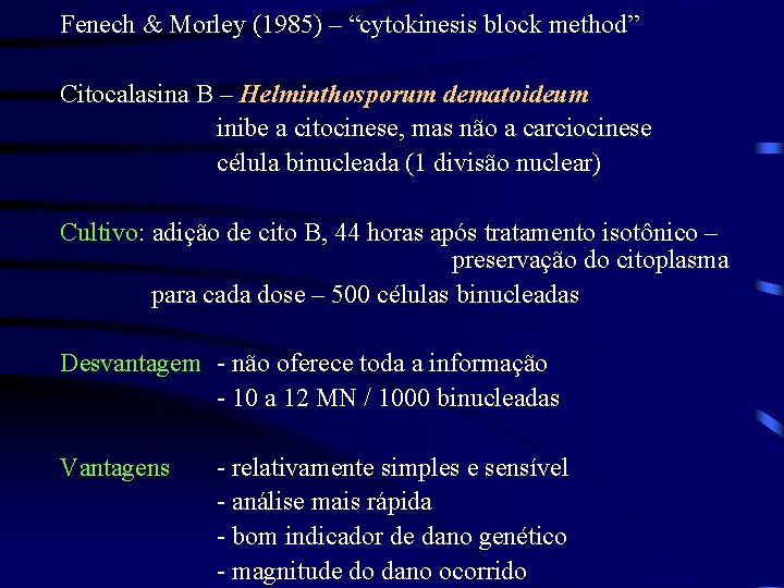 Fenech & Morley (1985) – “cytokinesis block method” Citocalasina B – Helminthosporum dematoideum inibe