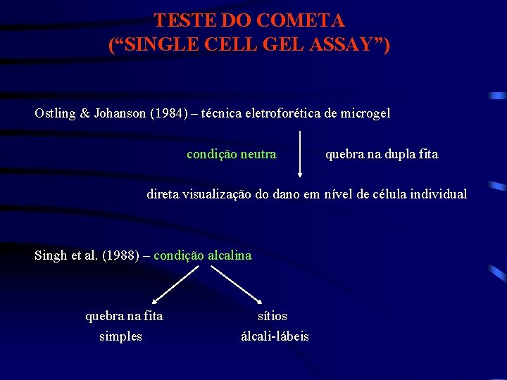 TESTE DO COMETA (“SINGLE CELL GEL ASSAY”) Ostling & Johanson (1984) – técnica eletroforética