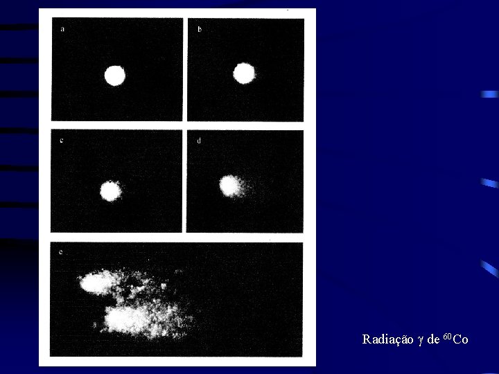 Radiação g de 60 Co 