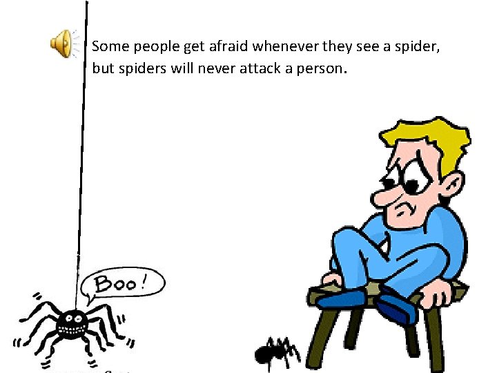 Some people get afraid whenever they see a spider, but spiders will never attack
