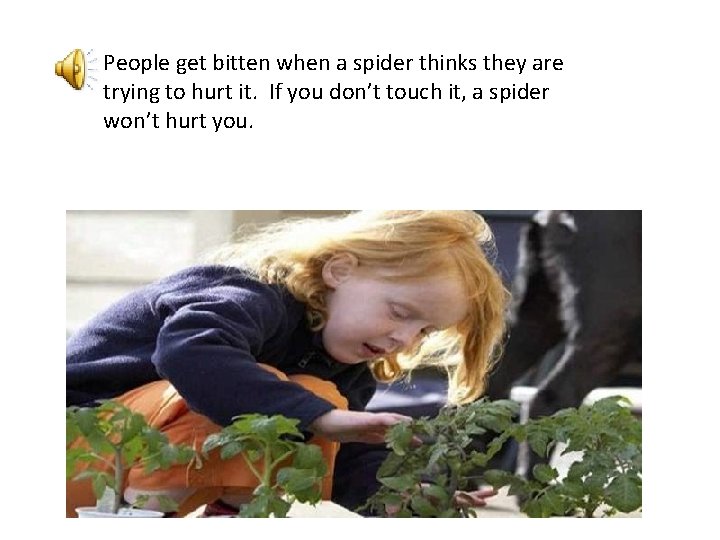 People get bitten when a spider thinks they are trying to hurt it. If