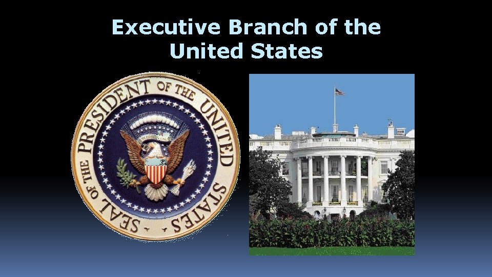 Executive Branch of the United States 