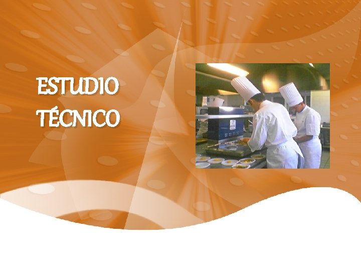 ESTUDIO TÉCNICO 