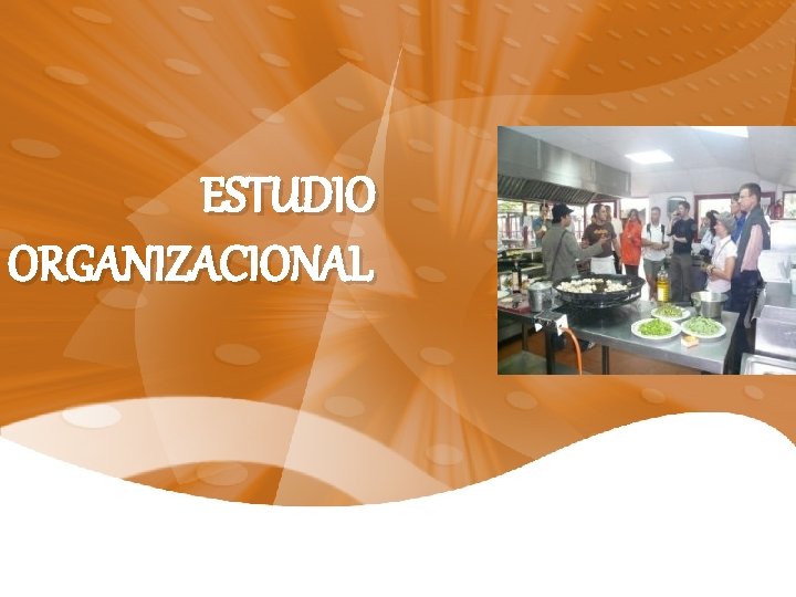 ESTUDIO ORGANIZACIONAL 