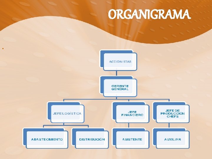 ORGANIGRAMA • 