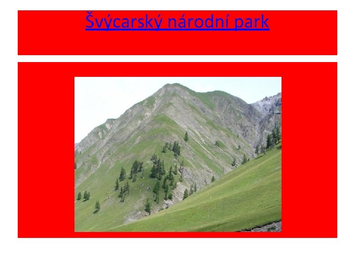 Švýcarský národní park 
