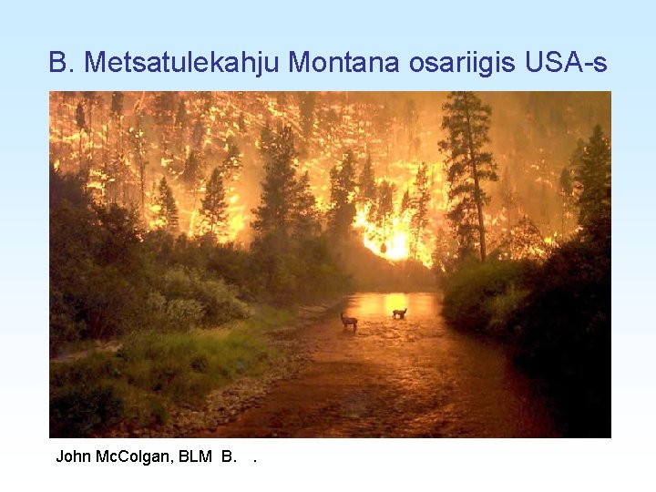 B. Metsatulekahju Montana osariigis USA-s John Mc. Colgan, BLM B. . 