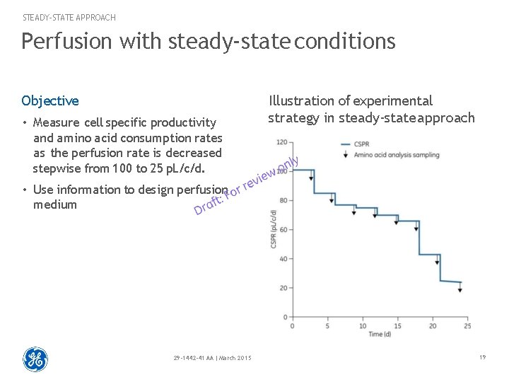 STEADY-STATE APPROACH Perfusion with steady-state conditions Objective • Measure cell specific productivity and amino