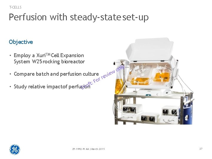 T-CELLS Perfusion with steady-state set-up Objective • Employ a Xuri. TM Cell Expansion System