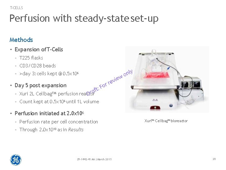 T-CELLS Perfusion with steady-state set-up Methods • Expansion of T-Cells – T 225 flasks