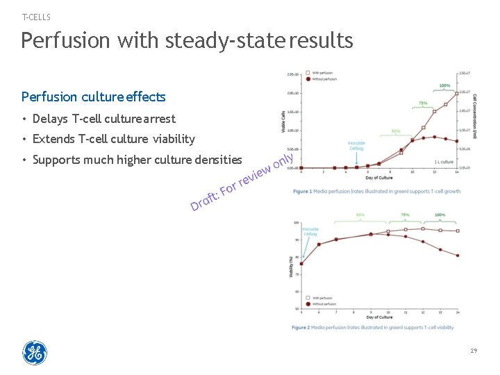 T-CELLS Perfusion with steady-state results Perfusion culture effects • Delays T-cell culture arrest •