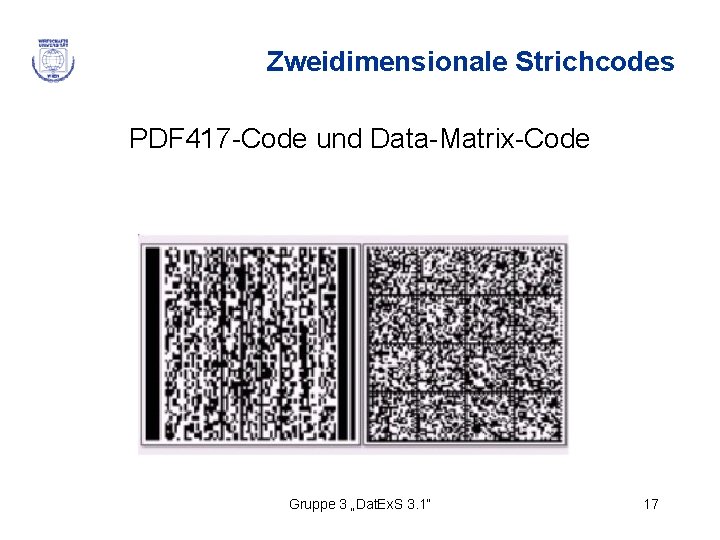 Zweidimensionale Strichcodes PDF 417 -Code und Data-Matrix-Code Gruppe 3 „Dat. Ex. S 3. 1“